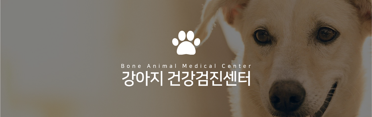 건강검진센터 강아지건강검진